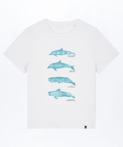 Moregoods.shop429cac090f 1