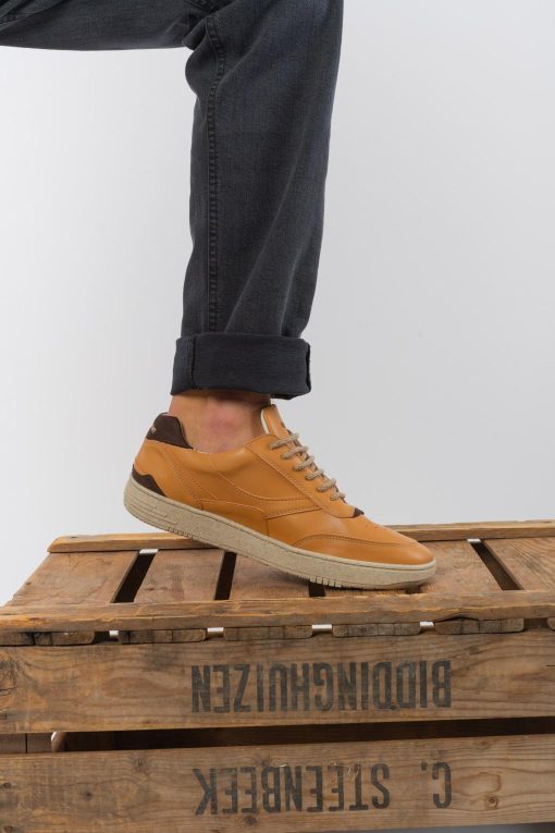 Moregoods.shop60ae11a637 4