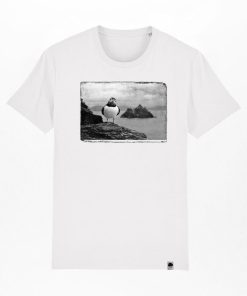 Moregoods.shopb4567cfce2 1